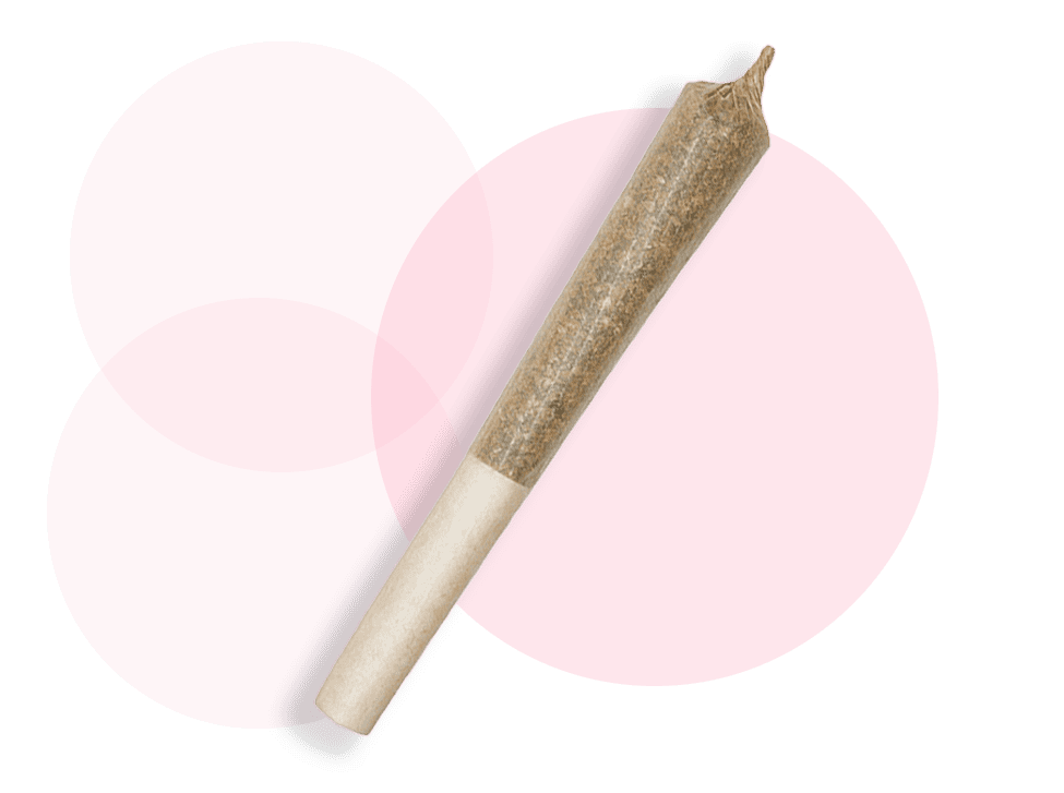 JOINT